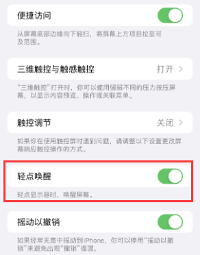 昌都苹果授权维修站分享iPhone轻点无法唤醒怎么办 