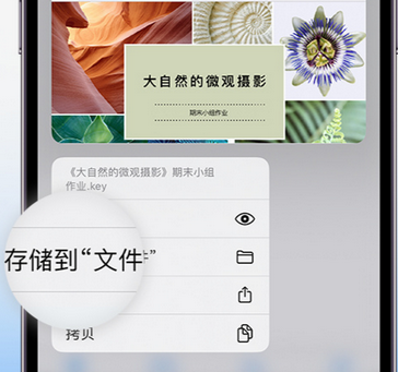 昌都apple维修中心分享iPhone文件应用中存储和找到下载文件