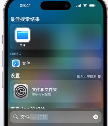 昌都apple维修中心分享iPhone文件应用中存储和找到下载文件 