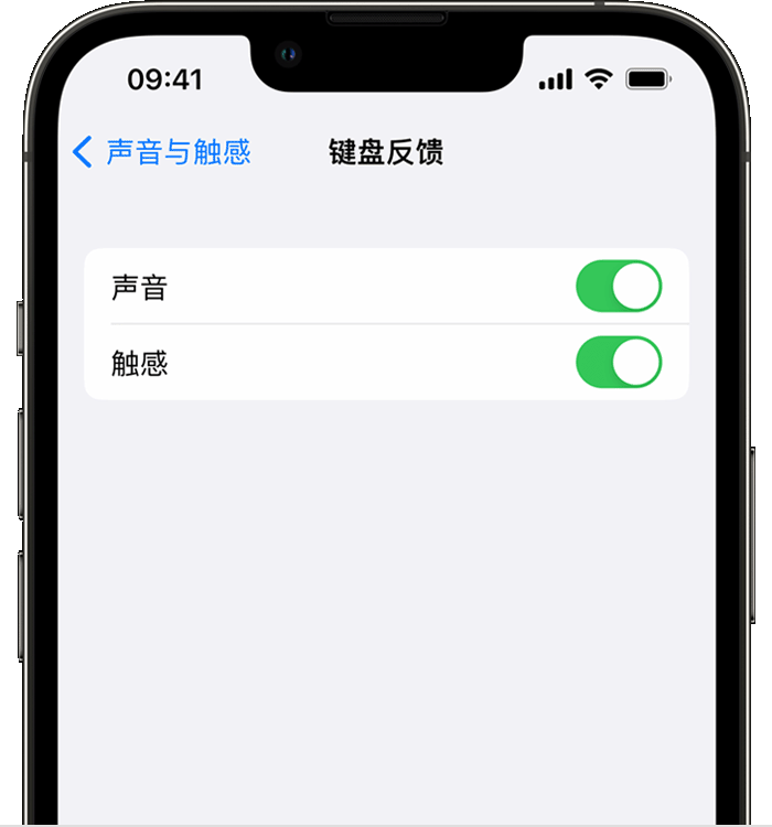 昌都苹果14维修店分享如何在 iPhone 14 机型中使用触感键盘 