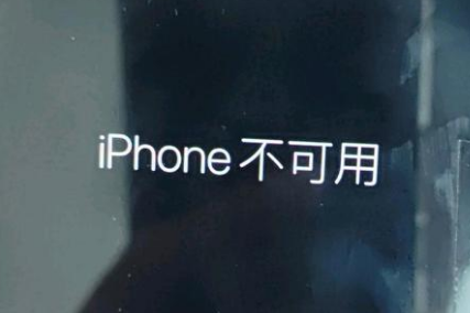 昌都苹果服务网点分享锁屏界面显示“iPhone 不可用”如何解决 