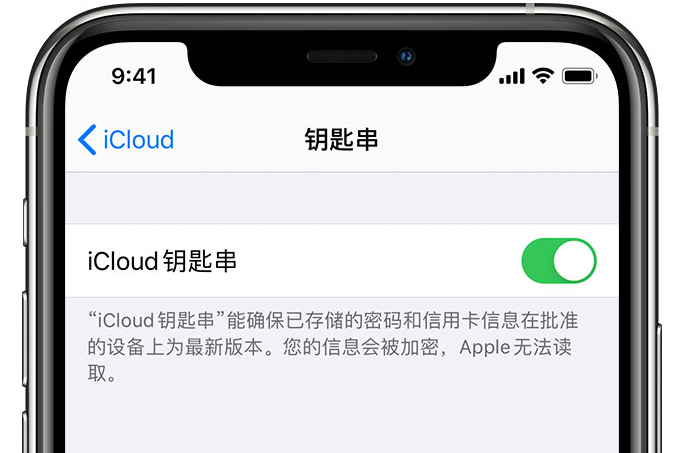 昌都苹果手机维修分享在 iPhone 上开启 iCloud 钥匙串之后会储存哪些信息 