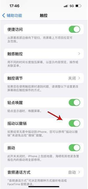 昌都苹果手机维修分享iPhone手机如何设置摇一摇删除文字 