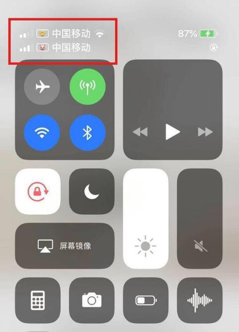 昌都苹果手机维修分享为 iPhone 12 双卡设置标签 